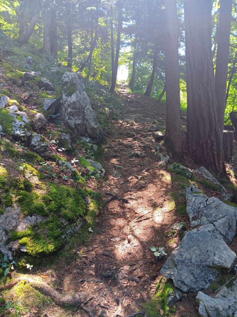 Der Weg zum Wandel.. mit Powerwandel by Ramona Tobehn – Ernährungsberatung in St.Gallen